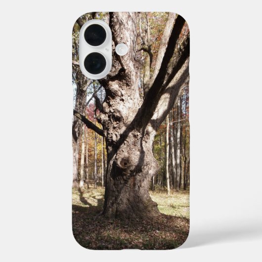 Wezelboom Case-Mate iPhone Case (Achterkant)