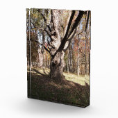 Wezelboom Fotoblokken (Rechts)