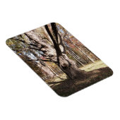 Wezelboom Magneet (Rechterzijde)