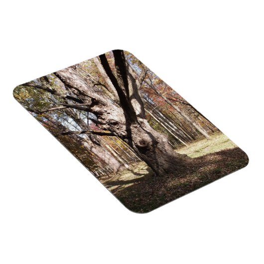 Wezelboom Magneet (Rechterzijde)