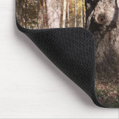 Wezelboom Muismat (Hoek)