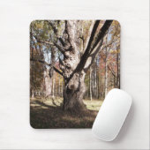 Wezelboom Muismat (Met muis)