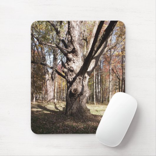 Wezelboom Muismat (Met muis)