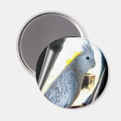 WF tiel magneten (Voorkant / Achterkant)