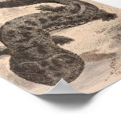 WH Freeman - De grote Japanse salamander P/folio Poster (Hoek)