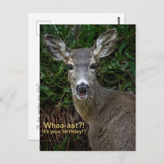 Whaa-aat?! Het is je verjaardag!? Ansichtkaart Briefkaart (Voorkant / Achterkant)