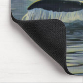 Whail Tail op zonsondergang Muismat (Hoek)