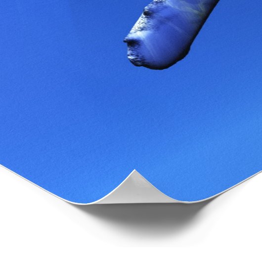 Whale 01 Print (Hoek)