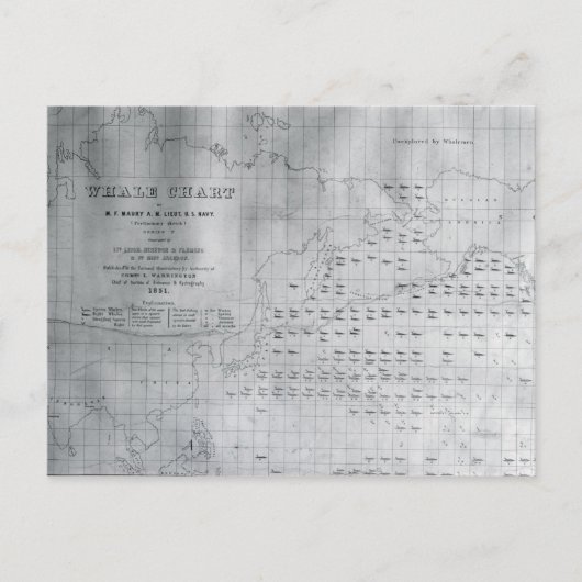 Whale Chart of the North Pacific, 1851 Briefkaart (Voorkant)