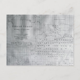 Whale Chart of the North Pacific, 1851 Briefkaart
