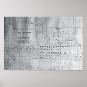 Whale Chart of the North Pacific, 1851 Poster