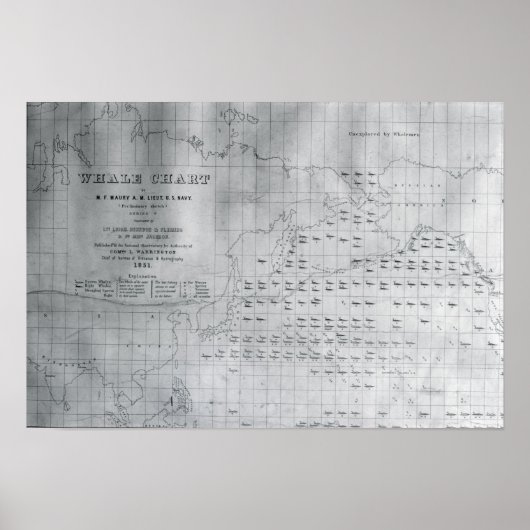 Whale Chart of the North Pacific, 1851 Poster (Voorkant)