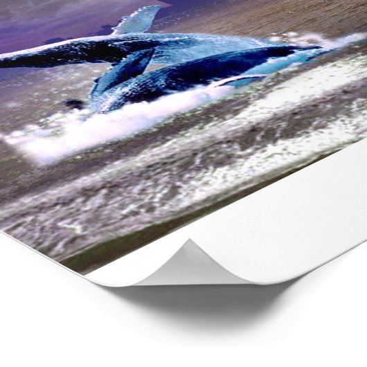 WHALE DANCE POSTER (Hoek)