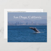Whale en San Diego skyline Briefkaart (Voorkant / Achterkant)