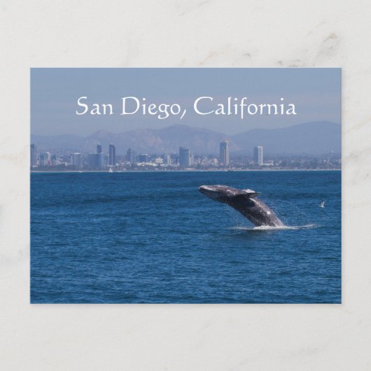 Whale en San Diego skyline Briefkaart (Voorkant)