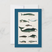 WHALE FISH Scuba Diving RSVP Kaartje (Voorkant)