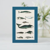 WHALE FISH Scuba Diving RSVP Kaartje (Staand voorkant)