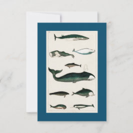 WHALE FISH Scuba Diving RSVP Kaartje