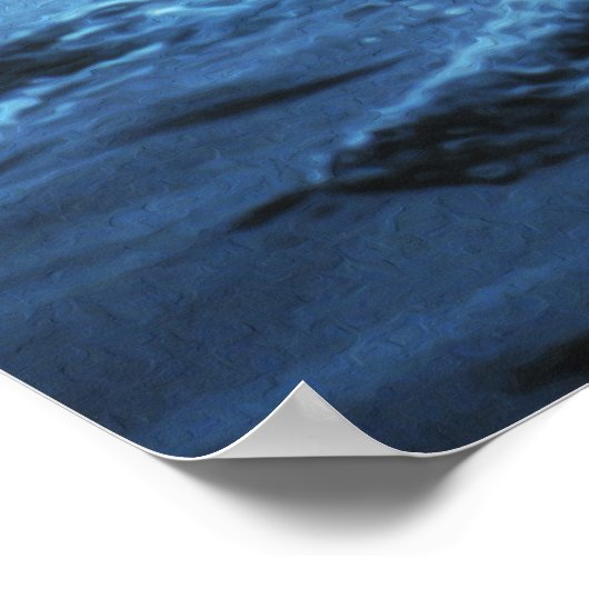 Whale Fluke Poster (Hoek)