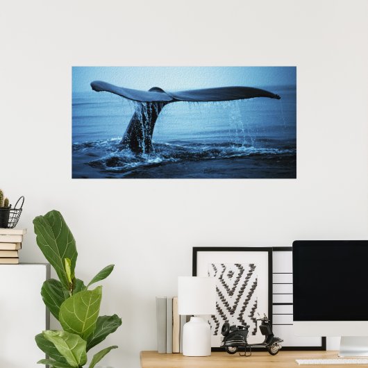 Whale Fluke Poster (Thuiskantoor)
