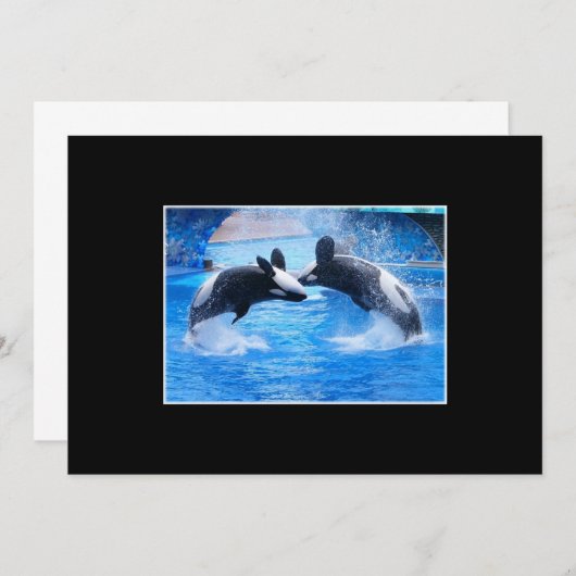 Whale Fotouitnodiging Kaart (Voorkant / Achterkant)