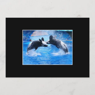 Whale Fotouitnodiging Kaart