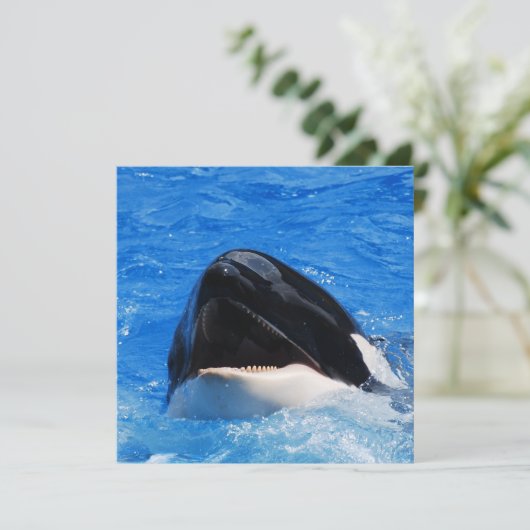 Whale-geluiden Kaart (Staand voorkant)