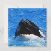 Whale-geluiden Kaart (Voorkant)