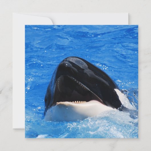 Whale-geluiden Kaart (Voorkant)