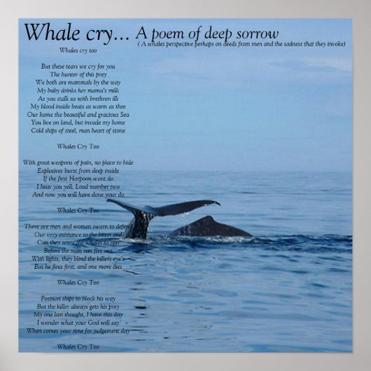 Whale huilt... een gedicht van diep verdriet... poster (Voorkant)