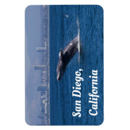 Whale of a Time San Diego, CA Magneet