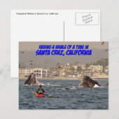 Whale of a Time Santa Cruz California Briefkaart (Voorkant / Achterkant)