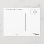Whale of a Time Santa Cruz California Briefkaart (Achterkant)