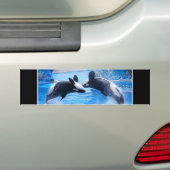Whale Photo Bumpersticker (Op auto)