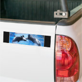 Whale Photo Bumpersticker (Op Truck)