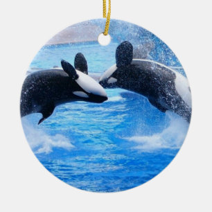 Whale Photo Ornament