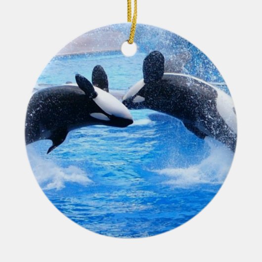 Whale Photo Ornament (Voorkant)