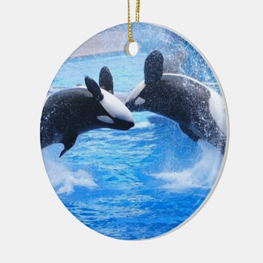 Whale Photo Ornament (Links)