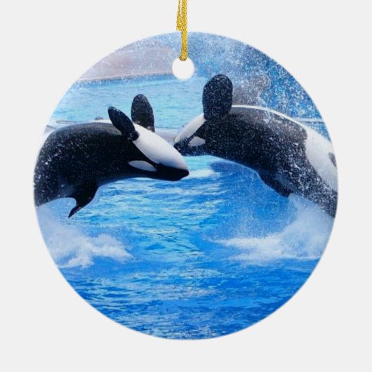 Whale Photo Ornament (Achterkant)
