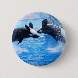 Whale Photo Round Button