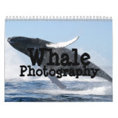 Whale Photography Calendar Kalender (Hoes)
