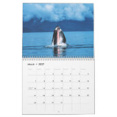 Whale Photography Calendar Kalender (Mar 2027)