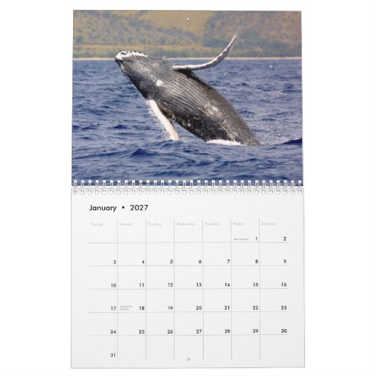 Whale Photography Calendar Kalender (Jan 2027)