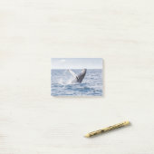 Whale Post-it® Notes (Op bureau)