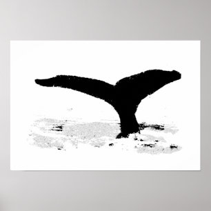 Whale Poster
