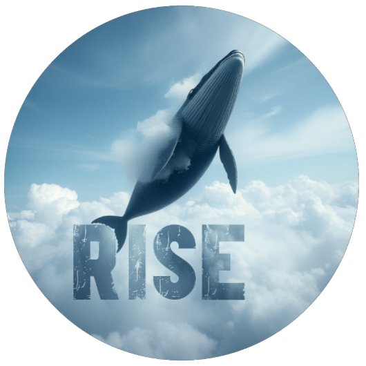 Whale Rise Inspiration T-shirt