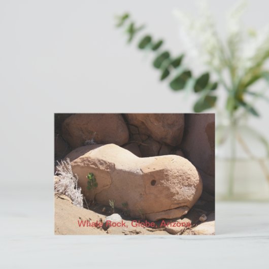 Whale Rock, Wereldbol, Arizona Briefkaart (Staand voorkant)
