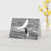 Whale Shakes a Tail Feather verjaardagskaart Kaart (Gele Bloem)