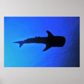 Whale Shark Silhouette Poster (Voorkant)