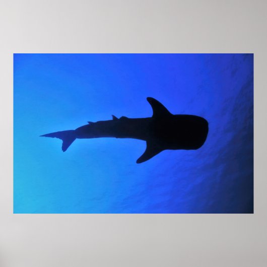 Whale Shark Silhouette Poster (Voorkant)